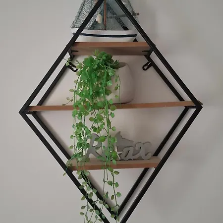 Gabriela Apartament *
